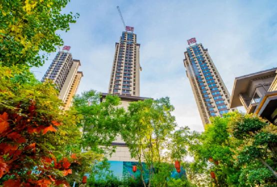 金鐘集團榮膺“中國房地產開發企業綜合實力TOP500”殊榮，彰顯行業領先地位